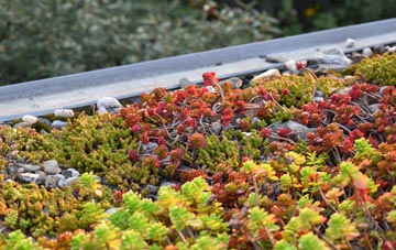 the cost of Vernolds Common green roof installation