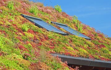 Vernolds Common living roof systems